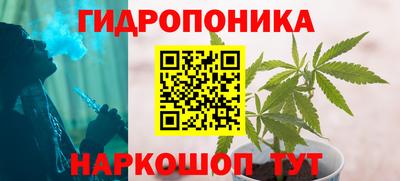 крисы Конаково